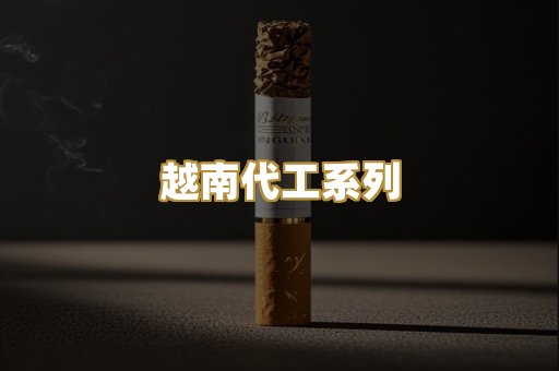 越南代工系列